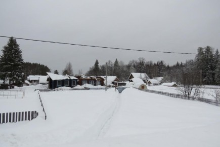 В Старожильске под тяжестью снега обрушилась крыша двухквартирного дома