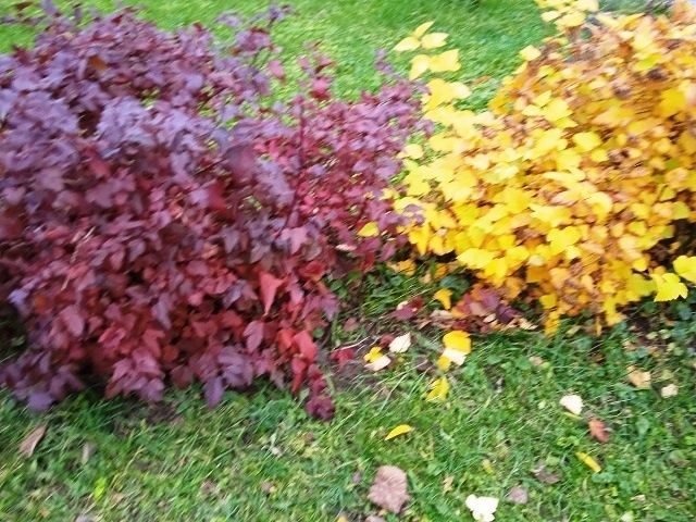 ������� �������� ����� �� ��������������� �������������