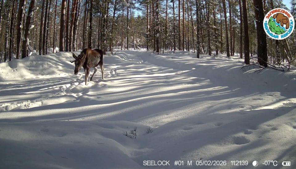 � ����������� �������� ������� ����������� ����������� ��������� ������� �������� � ����� ���������� �������