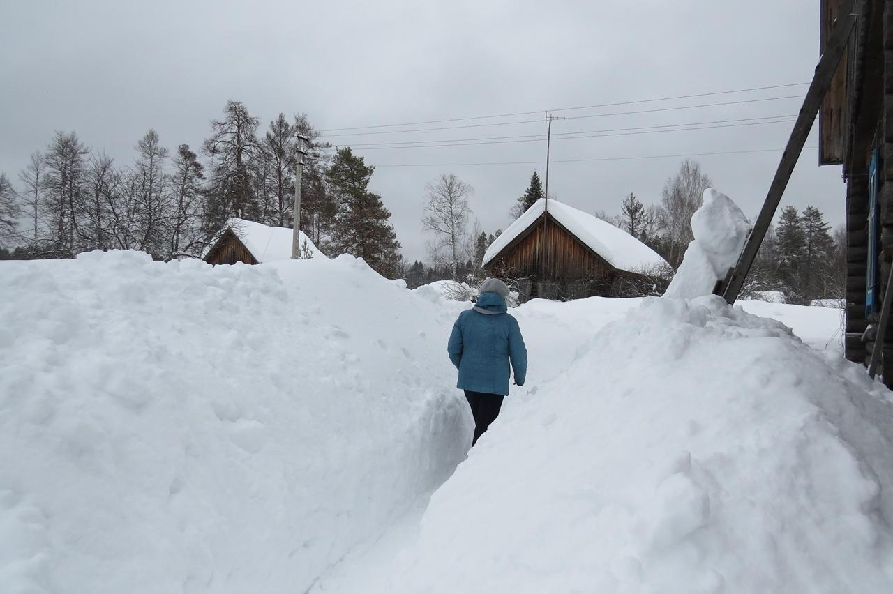 За последнюю неделю в Марий Эл выпало еще 23 см снега и теперь толщина снежного покрова насчитывает в среднем более 100 см