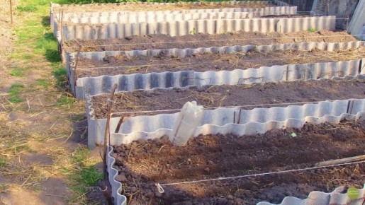 ��� ������� ��������� ������ ��� ��������������-����������