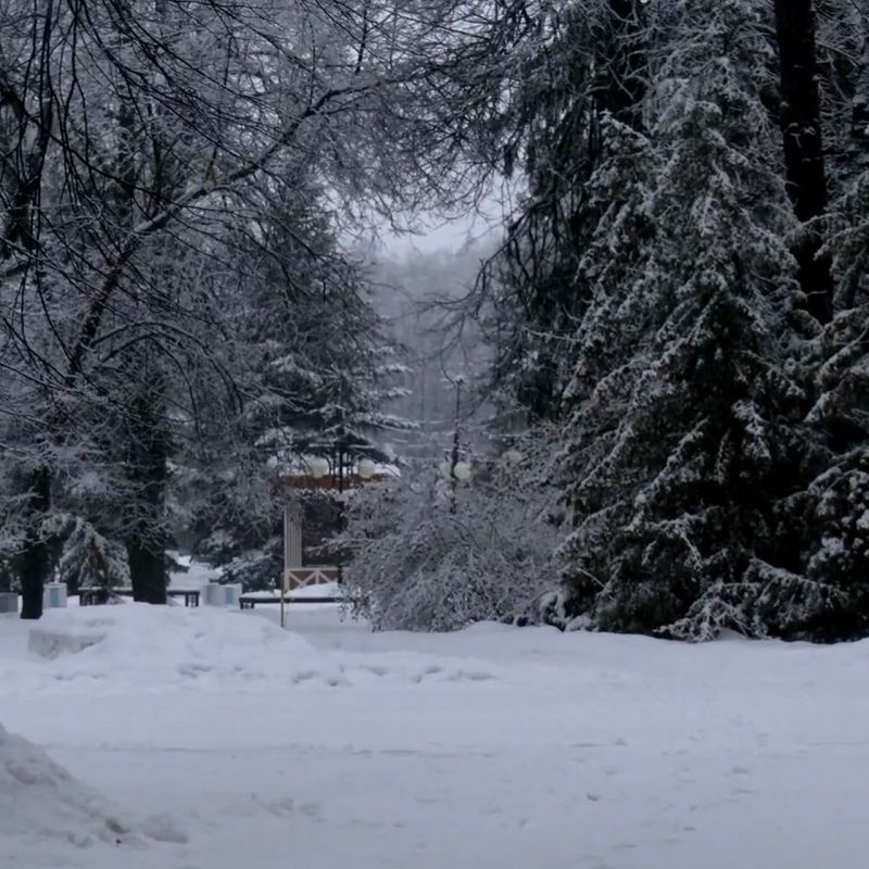 ����� ���������� ���� �������� ������ ���. ������ ��� ��� ������� �� ��������, ��� ��� ���� ������ �������� �������� ������� � ��������� ����� � �������! �������� ��� ��� ���������, ������ � ������ ��������! ����� ��...