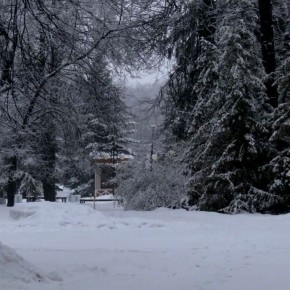 ����� ���������� ���� �������� ������ ���. ������ ��� ��� ������� �� ��������, ��� ��� ���� ������ �������� �������� ������� � ��������� ����� � �������! �������� ��� ��� ���������, ������ � ������ ��������! ����� ��...