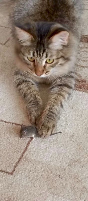 �������? ������ ����������� ���� ����� � �������