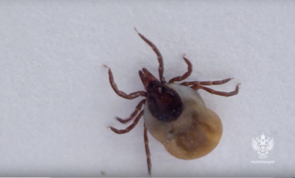 ��������� ������� ������������ ��������� ������ ����������� ������