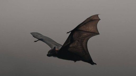 ���������� �����, ������� ������� ���� ���� � ����� ������