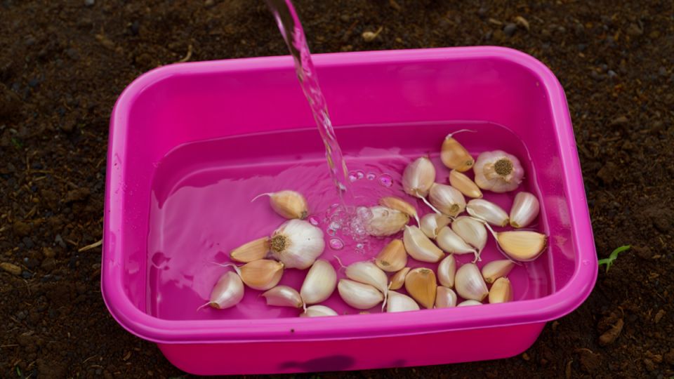 ��� ����������� ������ � ������� �������: ������ ��� �������� ������