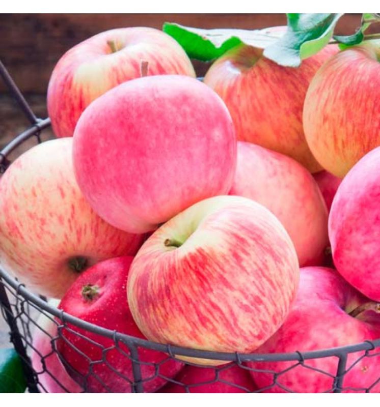 ������� ���� �����, ������� ����������� ��������