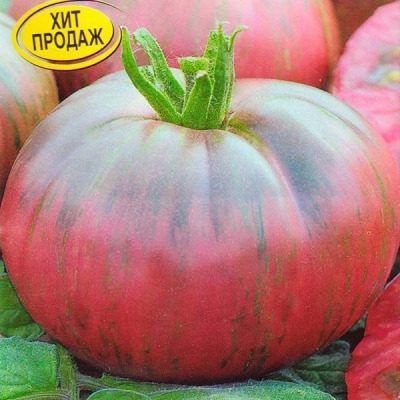 ����� ���������� ����: ��������� ���� � ������� ���� ��� ������ ����