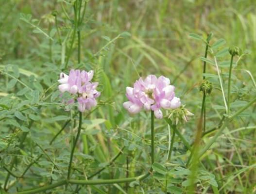 � ������� �� ���������� ������� ����� �2 ����� ����� ������ ������� ������� ���������� ������ ��� ��������, ��������� � ������� ����� ���������� ����� ��