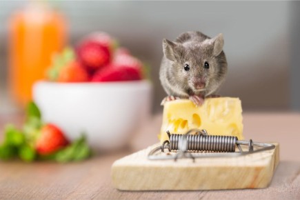 ����������� ������ ������ � ������: ������� �� ��������� �����