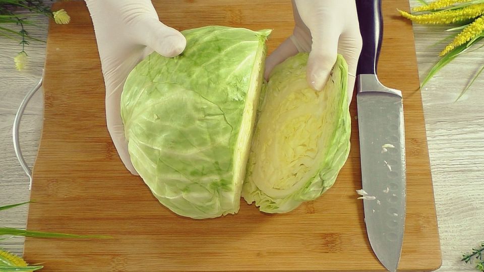 ����� �� �������: ������� � ������� ������ ��� ������������� �����