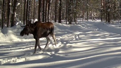 � ����� �� ����������� ����������� �������� ������� ������� ����, ������� ����� ���������� ����� ���� ����� ��������� �����������