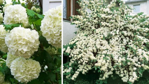 ��� ������� ������������ ������� ��� ������ ����