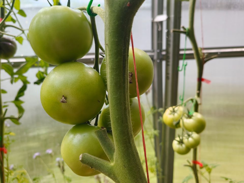 ������ � ���������: ��� ��������� ���������� ������ ����� �������