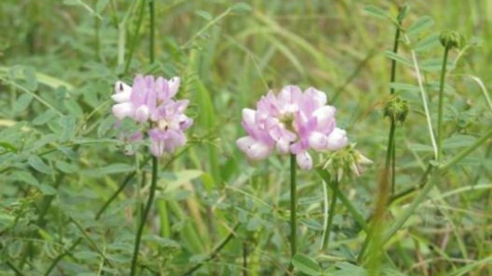 �� ���������� ����� � ����� �� ����� ������ �������������� ��������