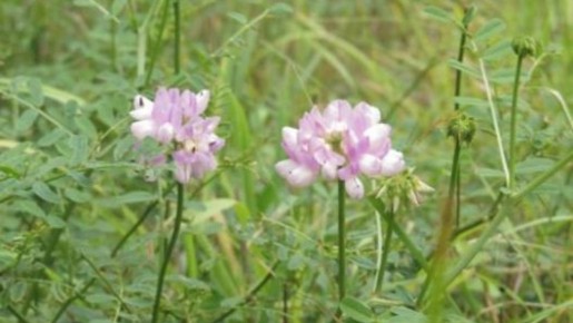 �� ���������� ����� � ����� �� ����� ������ �������������� ��������