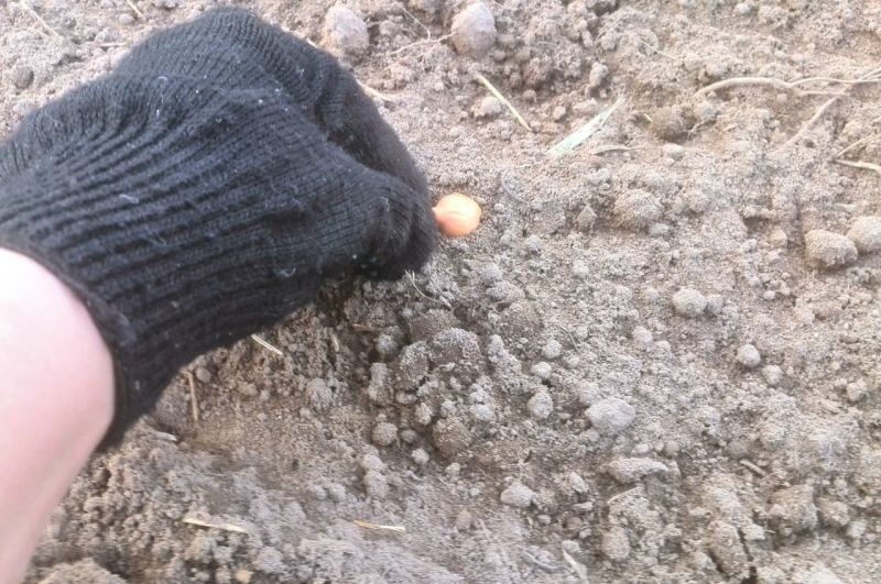 ��� �������� ���-����� ��� ����: ������� ������ ��� ��������� ������