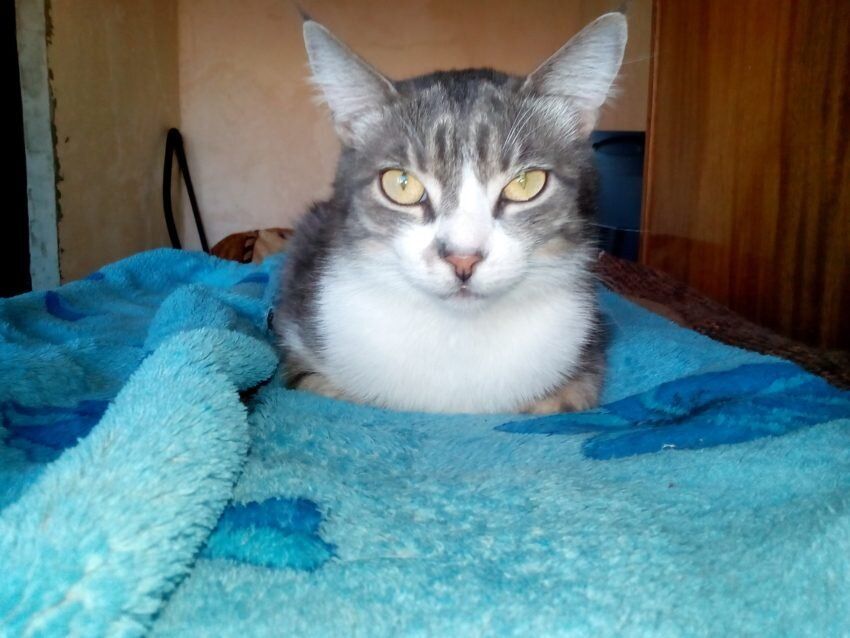 ��� ��� � ���� ����� 10 ���