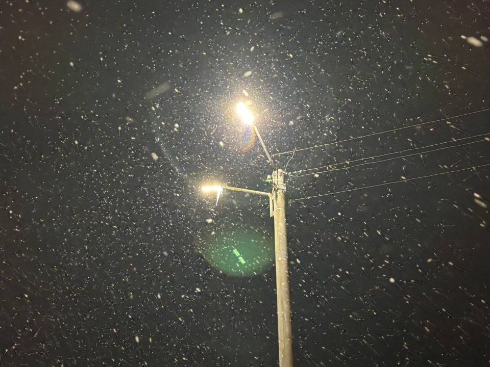 � ��������� 2 ���� � � ����������� ����� � ���� 23 ������� ������� �� ����� �� � � ������-��� ��������� ������ ��� �������� ������ ����� 11-16 �/�, �������� ����