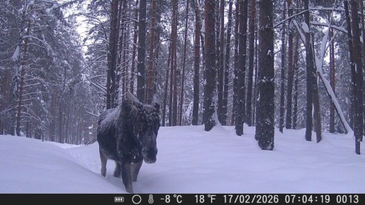 ��� ���� � ����� �� ����� ��� ����� ��������� ����������