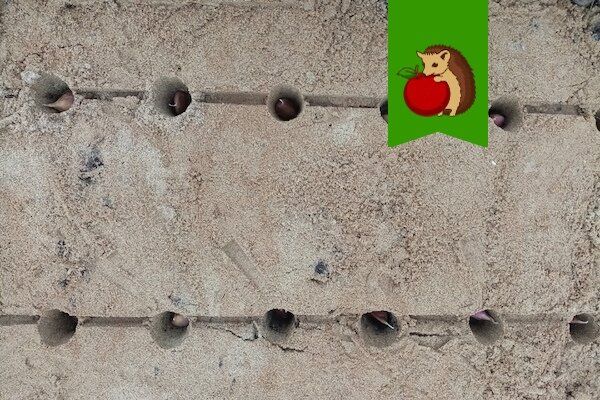 ����� ������ ������ ������: ��������� ������������� ���� � �������