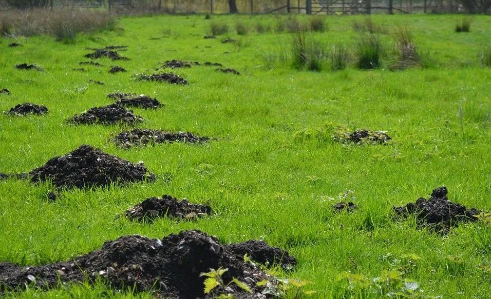 ����������� ������� ������ � ������������