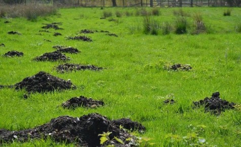 ����������� ������� ������ � ������������