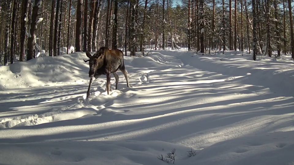 ���� � ����� �� ������ ���������� ����� ����