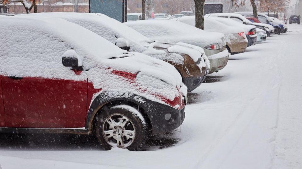 � ������ ������-��� �������� ������� ���� �� ��������