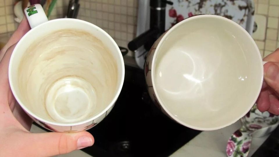 ��� ����� ���������� �� ������ � ������� �����: �������� ������