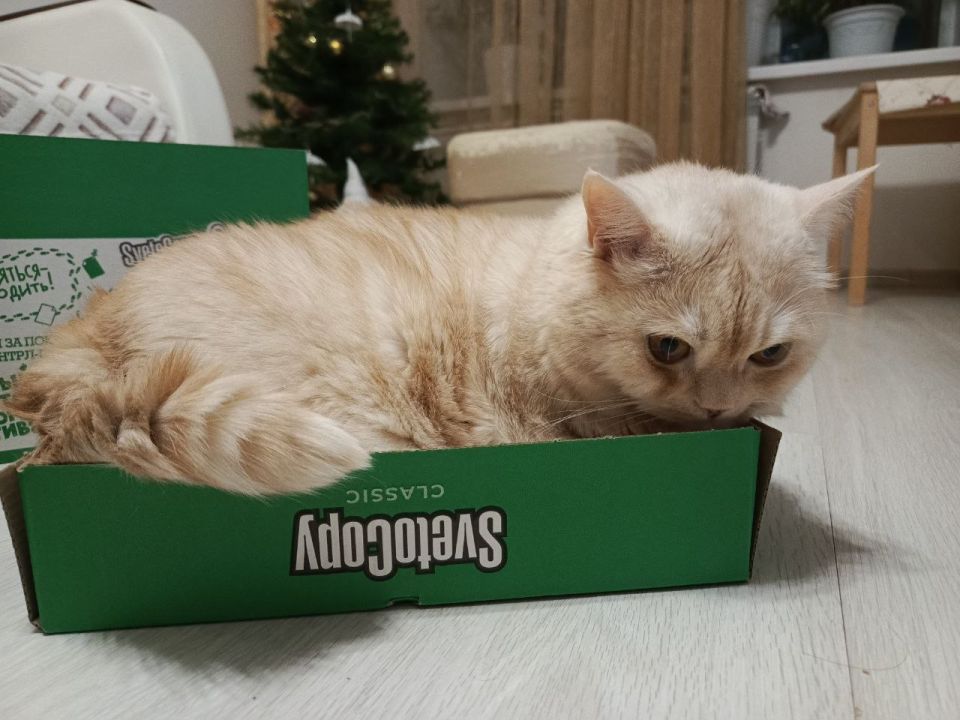 ����� ������ �������� ��������� ����, ��� ����������� ������ �� �����, � ������ ��������� ������ � �������� ����