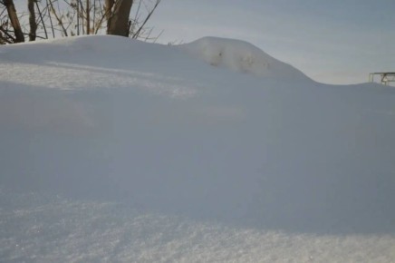 ���������, ����������! ������� �������������� ����� � �������� �����