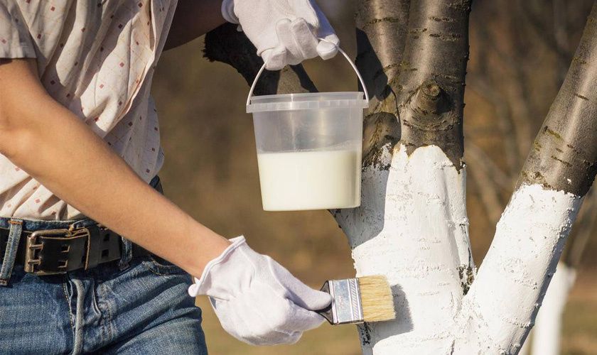 ������, ������� ��������� 9 �� 10 ���������: ����� �������� � �������