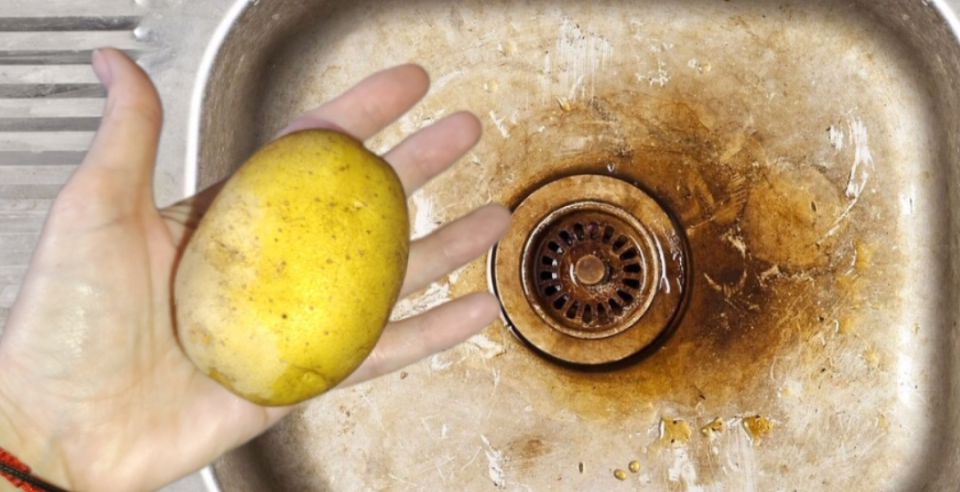 ������ �����: ��� �������� �������� �� ������� � �� ������