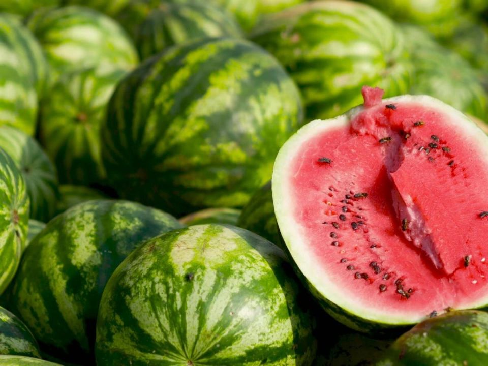 ��� ��������� ������� ����� � ������� ������ ������: ������� ������