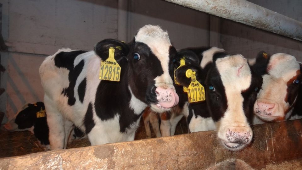 � ��������������� ������ �������� ����� �������� �� 200 �����