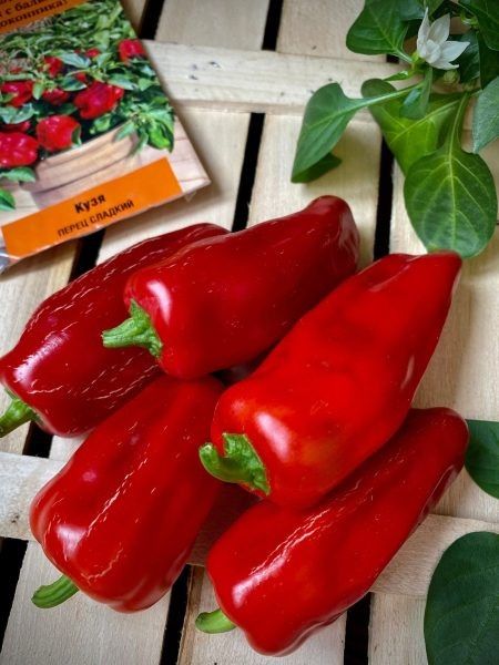 ����� ����: ��������� ����� ��� ���������� �������