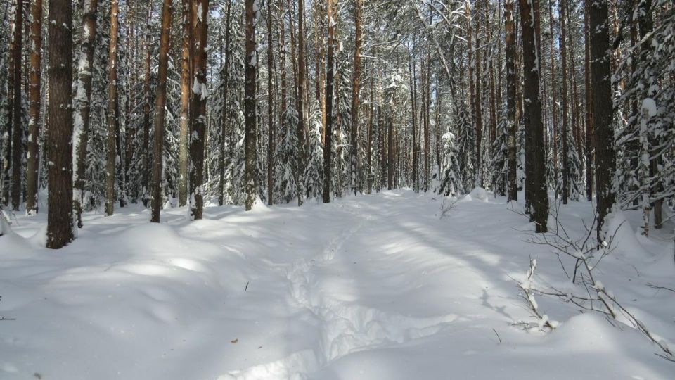 � ��������� ����������� � ������������ � ���������� �������� ������� ���