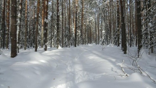 � ��������� ����������� � ������������ � ���������� �������� ������� ���