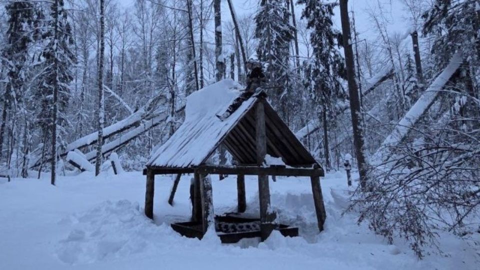 � ����� �� ��������� ������ �������� � ������� � ���