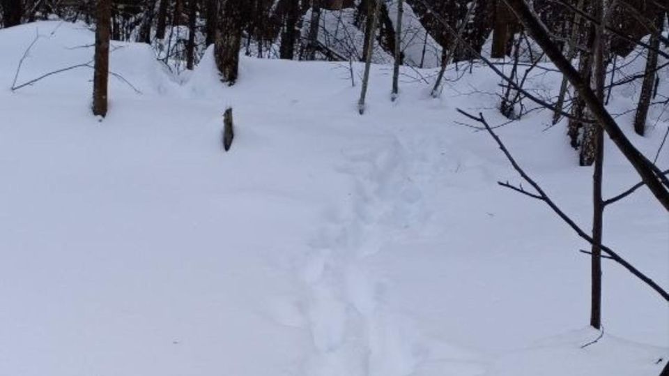 ����� �������� ����� �� �������� �� ����� ���� ���������