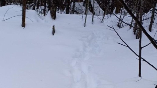 ����� �������� ����� �� �������� �� ����� ���� ���������