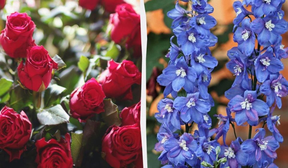 ��� �������� ����� � ������: 7 ��������� ������� ��� ������ ����