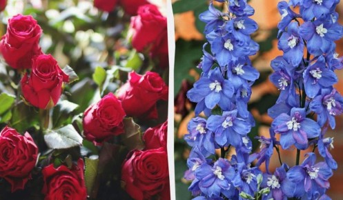 ��� �������� ����� � ������: 7 ��������� ������� ��� ������ ����