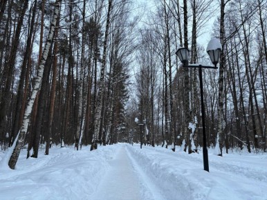 Сегодня в Марий Эл облачная погода, небольшой, местами умеренный снег