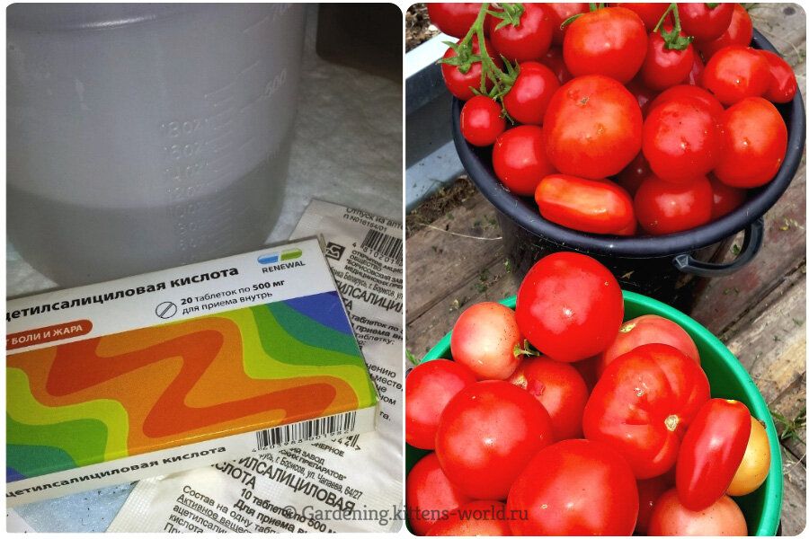 ��������� � �����������: ��� ������� ����� �������� ����� ����� ���������