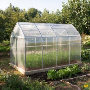 Как выбрать устойчивые сорта для теплицы без химии