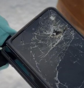 Жителя ПФО от разъярённого медведя спас смартфон