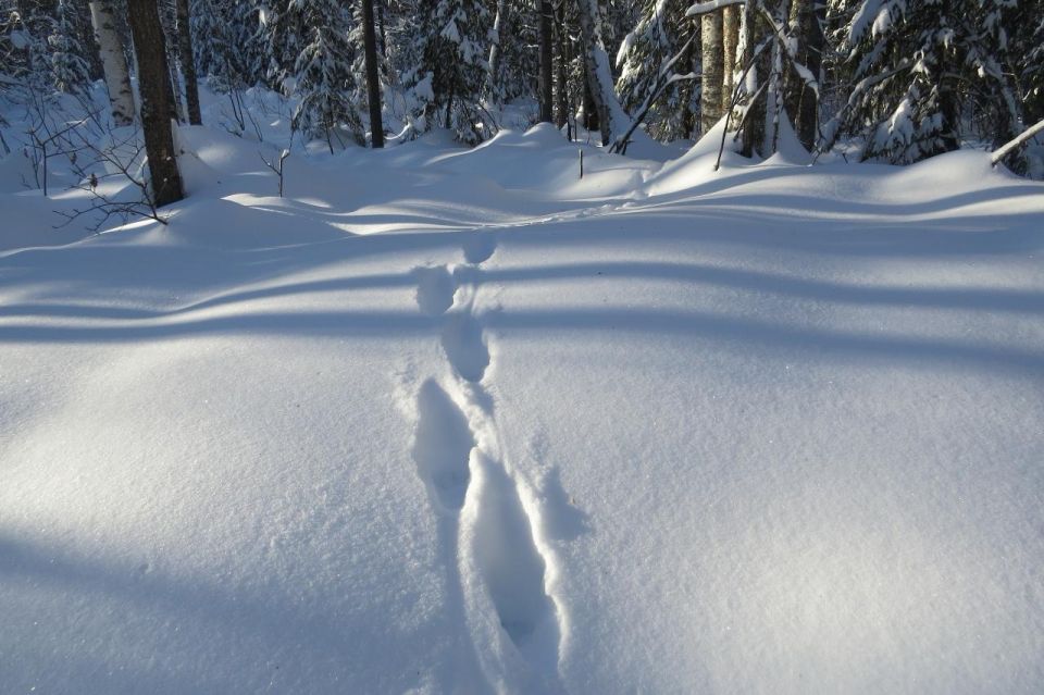 ������� ������� ��������� ����������� �������� ������� �������� �������� ��������� ������� ���������� ������, ��������� �� �����